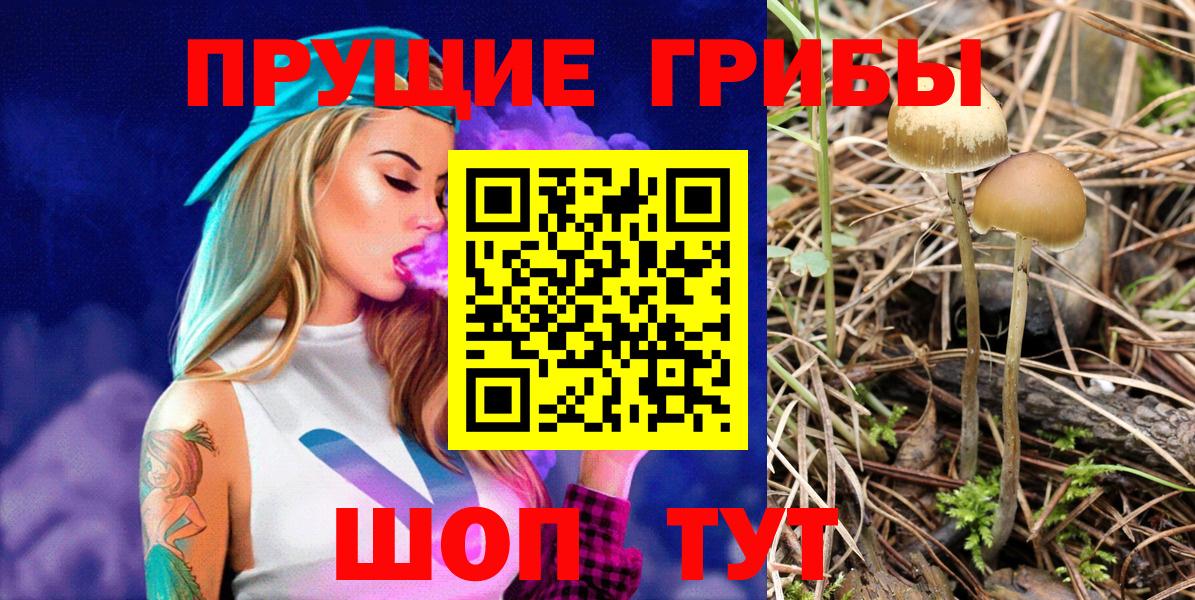 купить закладку  Вход с VPN  Сердобск  Галлюциногенные грибы Psilocybine cubensis  Галлюциногенные грибы Cubensis 